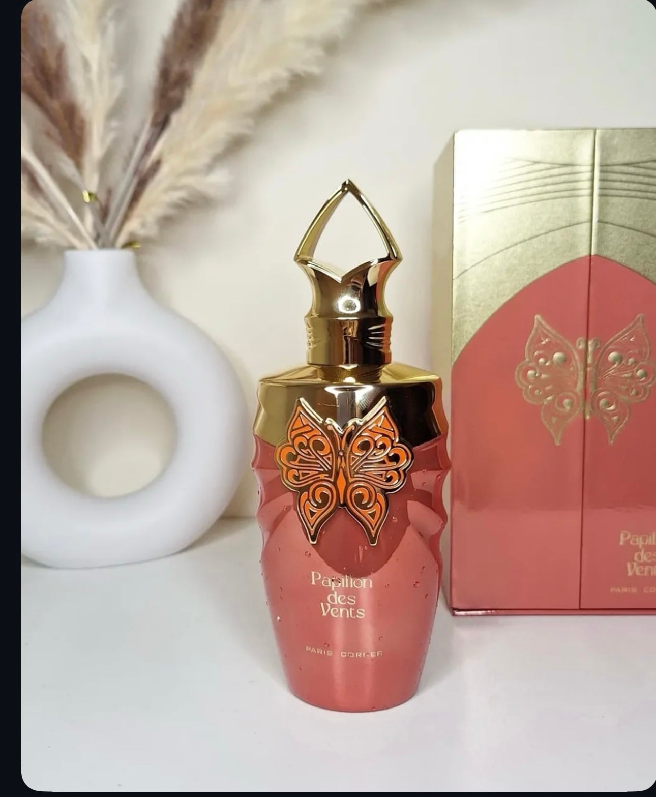 Papillon des Vents PARIS CORNER